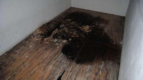 Aug/12 - DSC_2036.jpg