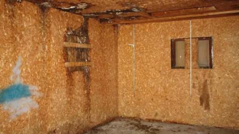 July 2012 - IMG_5275.jpg