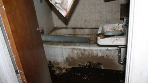 July 2012 - IMG_5281.jpg