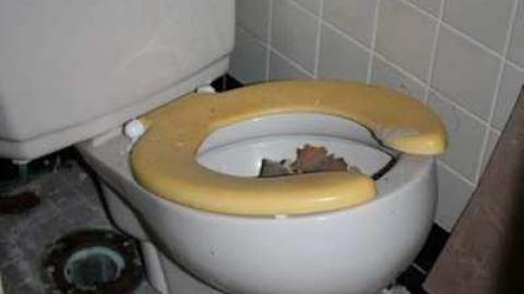 Aug 2012 - IMG_9021.jpg