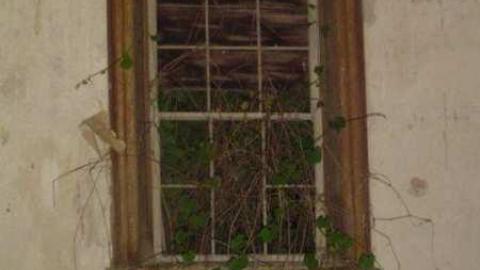 Bass Lake  - 189396_4427404351_8357_n.jpg