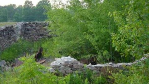 Bass Lake  - 190568_4657554351_9891_n.jpg