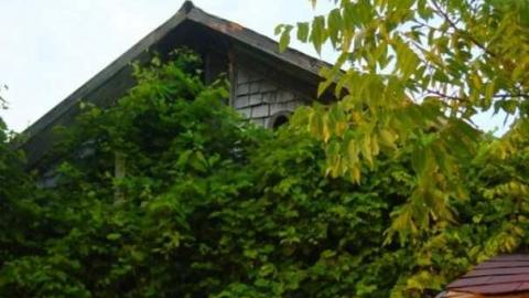 Bass Lake  - 196286_4657609351_2248_n.jpg