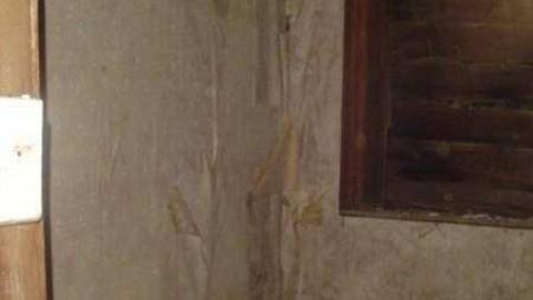 Bass Lake  - 198386_4427384351_3645_n.jpg