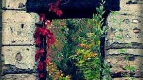 The Granite Castle - 62382_435390924351_2823382_n.jpg