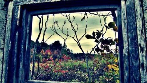 The Granite Castle - 62549_435392239351_2482388_n.jpg