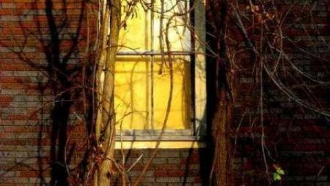 Rugby Graveyard - Rugby-graveyard2.jpg