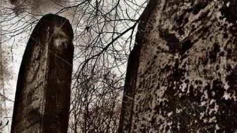 Rugby Graveyard - Rugby-graveyard21.jpg