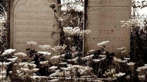 Rugby Graveyard - Rugby-graveyard5.jpg