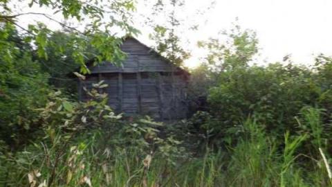 Photo from Summer 2012