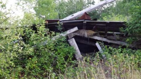 Photo from Summer 2012