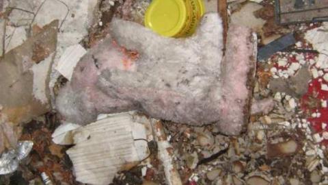 Gallery - Kiddie-Compost-Heap4.jpg