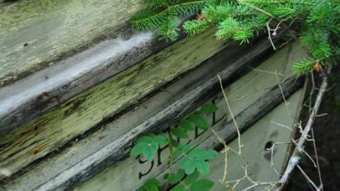 Kemp Fisheries Ltd. - Bowman-Island-Fish-Camp2.jpg