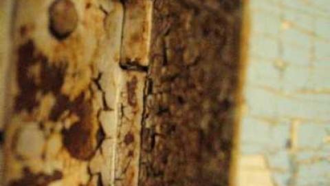 Kemp Fisheries Ltd. - Bowman-Island-Fish-Camp11.jpg