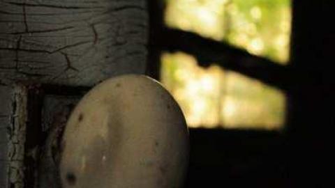 Kemp Fisheries Ltd. - Bowman-Island-Fish-Camp12.jpg