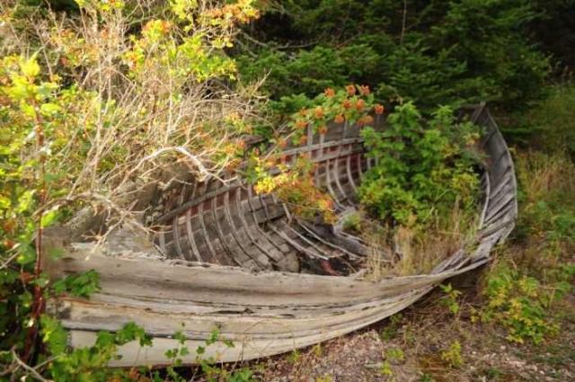 Bowman Island Fish Camp photo 5