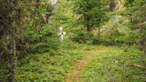 Bowman Island Fish Camp photo 3