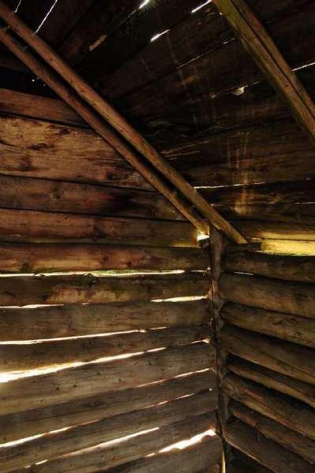 Bowman Island Fish Camp - Thunder Bay, Unorganized, Ontario