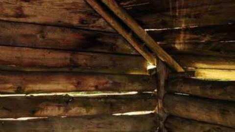 Bowman Island Fish Camp - Thunder Bay, Unorganized, Ontario