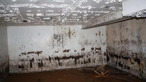 Aug 2012 - IMG_9052.jpg