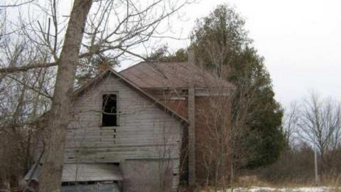 Gallery - Kiddie-Compost-Heap16.jpg