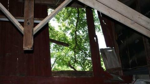 2012 - A.M.-Ross-Farm2.jpg