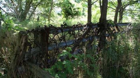 2012 - A.M.-Ross-Farm9.jpg