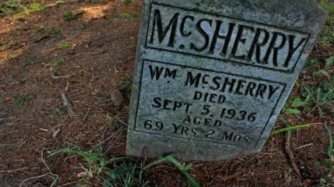 Shady Acre - Hillscreen-Pioneer-Cemetery8.jpg