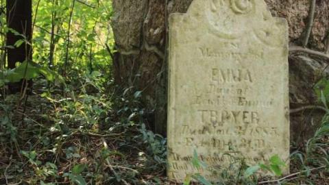 Shady Acre - Hillscreen-Pioneer-Cemetery3.jpg