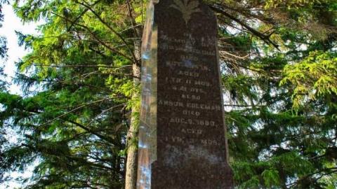 Shady Acre - Hillscreen-Pioneer-Cemetery4.jpg