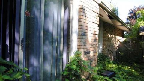 Photo from Vine Patio