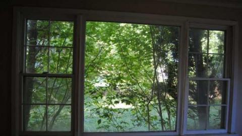 Vine Patio - DSC_2061.jpg