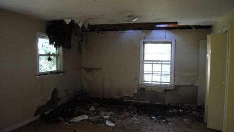 Vine Patio - DSC_2064.jpg