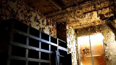 Photo from Early August 2012