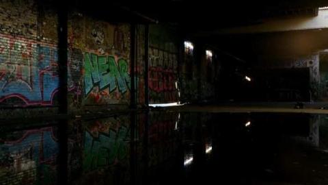 Photo from Early August 2012