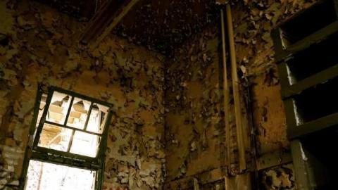 Early August 2012 - 7836174980_5ef69e84fb_h.jpg