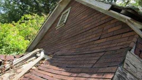 Schisler Collapse photo 2