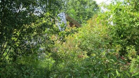 Schisler Collapse photo 3