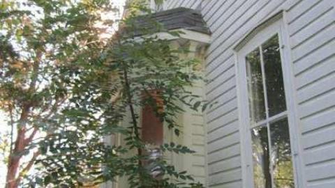 Hardly Abandoned - Rice-House39.jpg