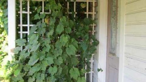 Hardly Abandoned - Rice-House44.jpg