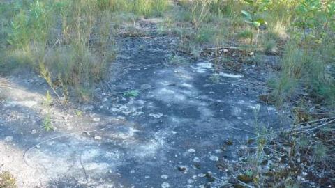 Madawaska Roundhouse photo 2