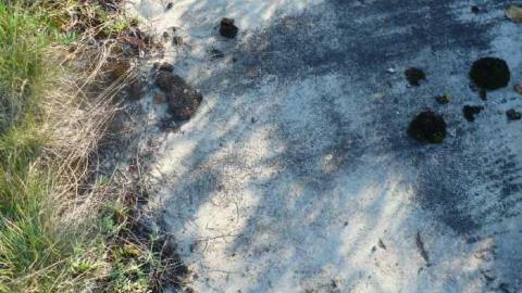 Madawaska Roundhouse photo 3