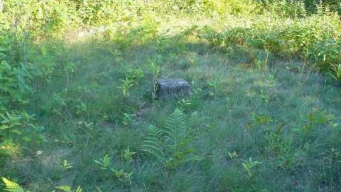 Madawaska Round House - Madawaska-Roundhouse10.jpg