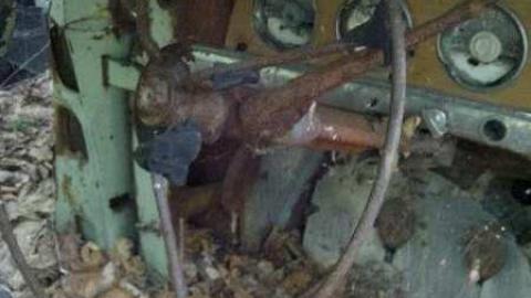 Photo from August 26th, 2012