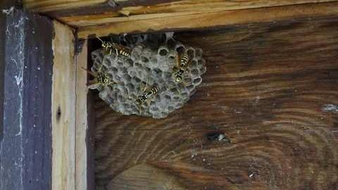 Villa on the hill - Fireplace-Villa7.jpg