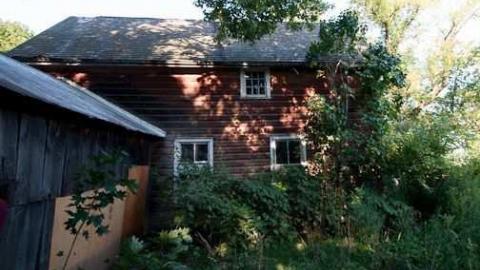 dairy cows or bull dozer - Deavitt-Farm2.jpg