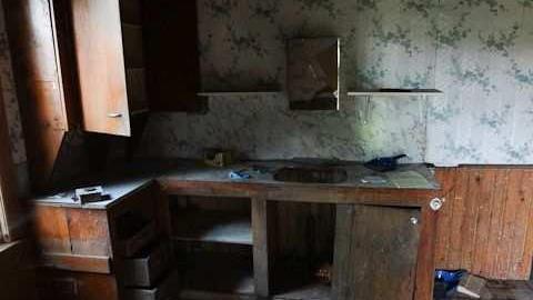 dairy cows or bull dozer - Deavitt-Farm10.jpg