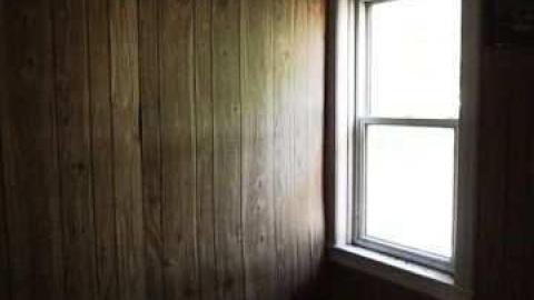 Photo from dairy cows or bull dozer