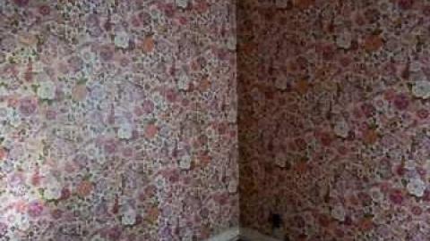 dairy cows or bull dozer - Deavitt-Farm5.jpg