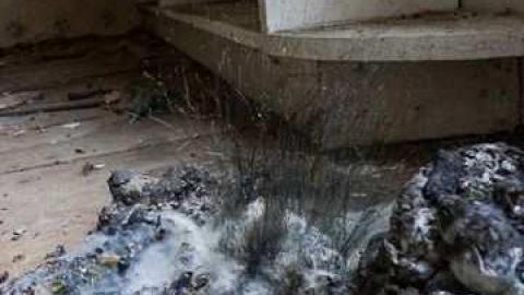 dairy cows or bull dozer - Deavitt-Farm12.jpg